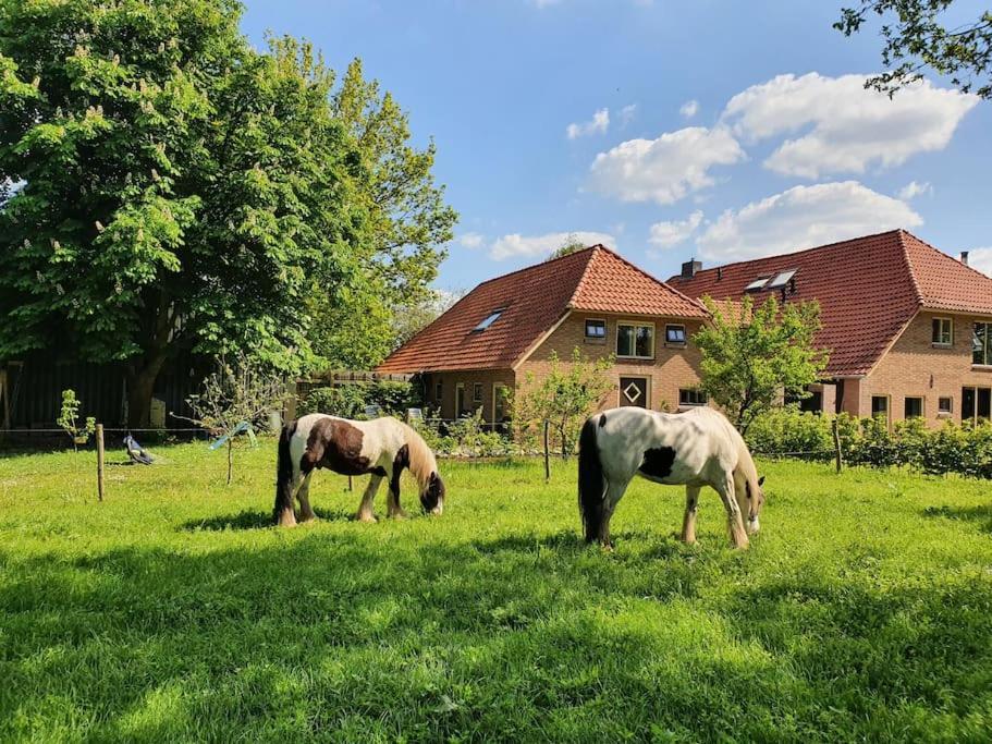 Leuk Boerderijtje Op Prachtige Plek, Nabij Natuurgebied Рюрло Экстерьер фото